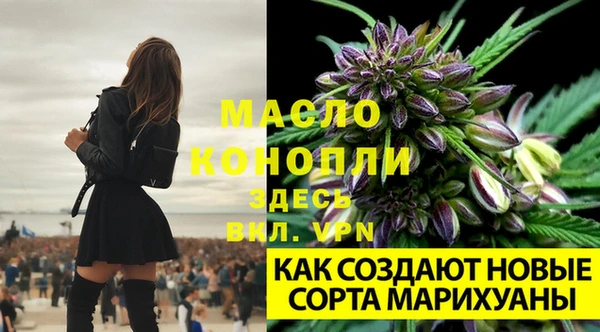 мяу мяу кристалл Верея